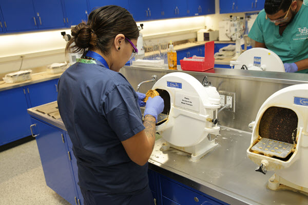 Jalisa Whitehorse trims a plaster model in the new pre-clinical lab in Squire Hall.